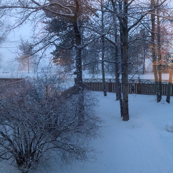 Meet your Posher, Genevieve - Picture 1 of 1